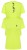 SPORT LADY Golden Fluor.jpg